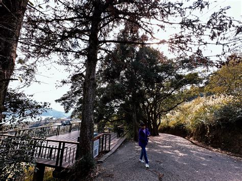 貓貓山|貓囒山步道